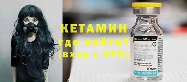 шишки Белоозёрский