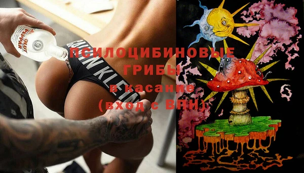 ПСИЛОЦИБИНОВЫЕ ГРИБЫ Беломорск