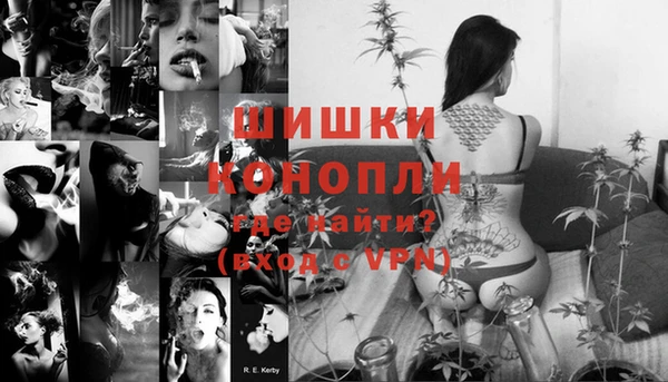 шишки Белоозёрский