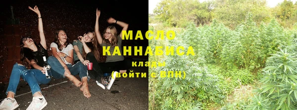 шишки Белоозёрский