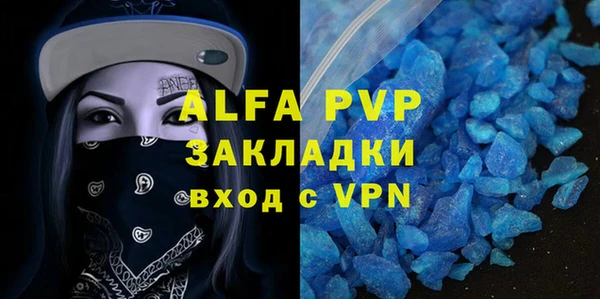 шишки Белоозёрский