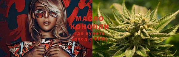 шишки Белоозёрский