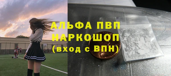 шишки Белоозёрский