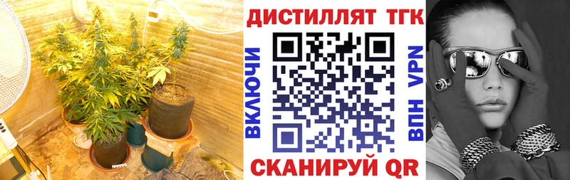 Купить где  Очёр  Дистиллят ТГК жижа 