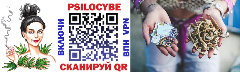 Купить закладки  Очёр  Галлюциногенные грибы MAGIC MUSHROOMS 